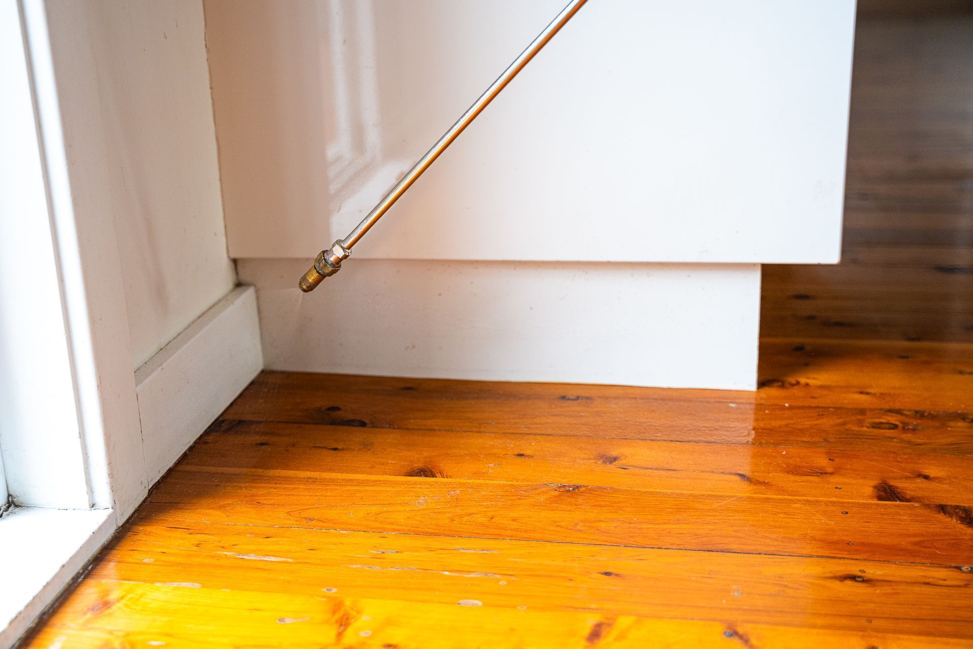 Pest Control Nozzle Spraying Insecticide — Premier Pest Control Wollongong In Parramatta, NSW