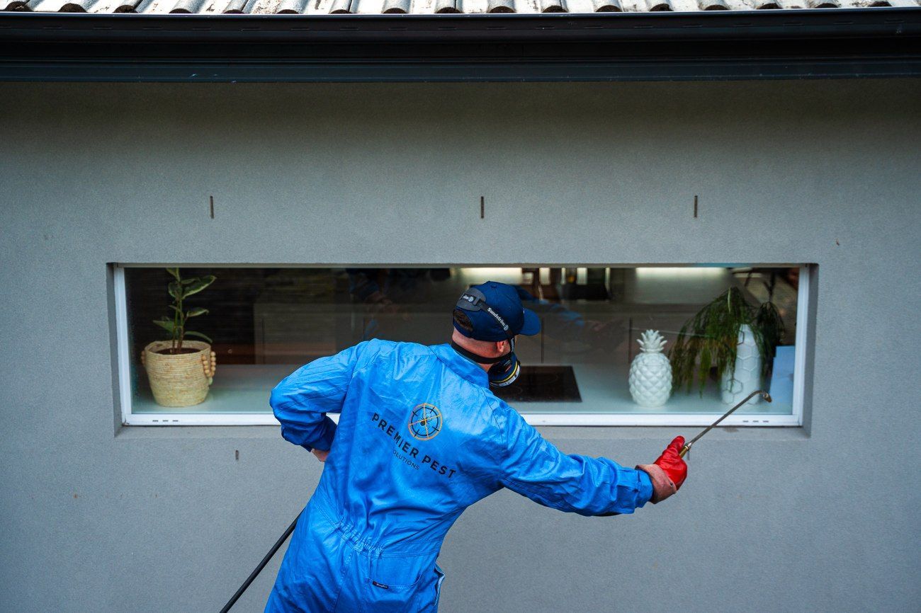 Man in blue protective suit spraying a window, next to a house, outdoors — Premier Pest Control Wollongong In Kiama, NSW