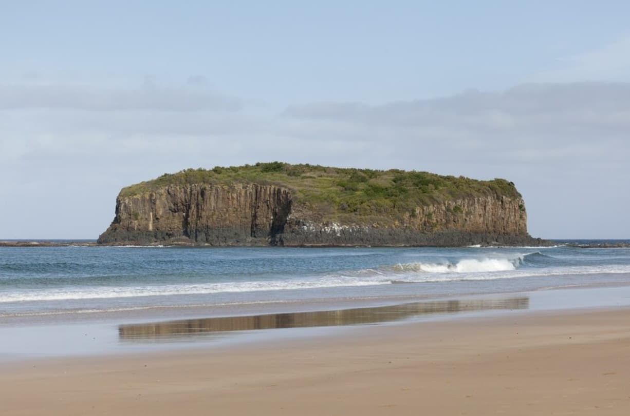 There Is A Small Island In The Middle Of The Ocean — Premier Pest Control Wollongong In Shellharbour, NSW