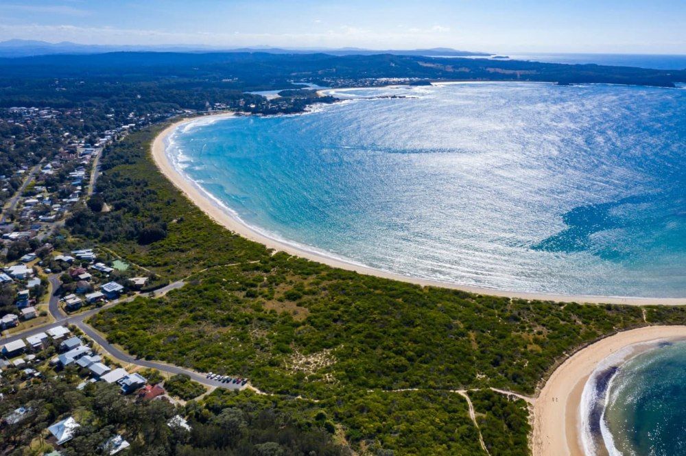 An Aerial View Of A Beach Surrounded By Trees And A Body Of Water — Premier Pest Control Wollongong In Dapto, NSW