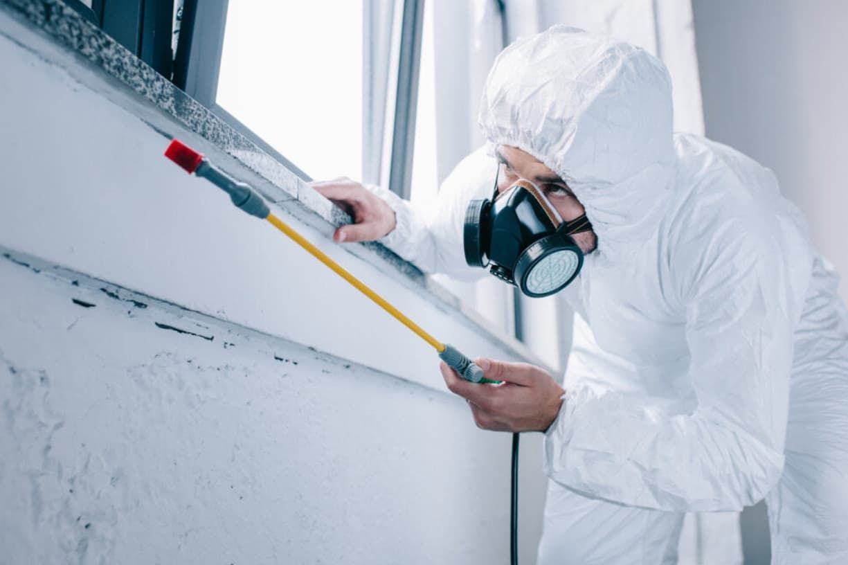 A Man In A Protective Suit Is Spraying A Wall With A Sprayer — Premier Pest Control Wollongong In Wollongong, NSW