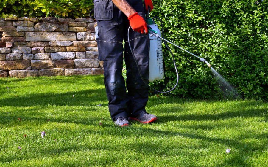 A Man Is Spraying A Lawn With A Sprayer — Premier Pest Control Wollongong In Dapto, NSW