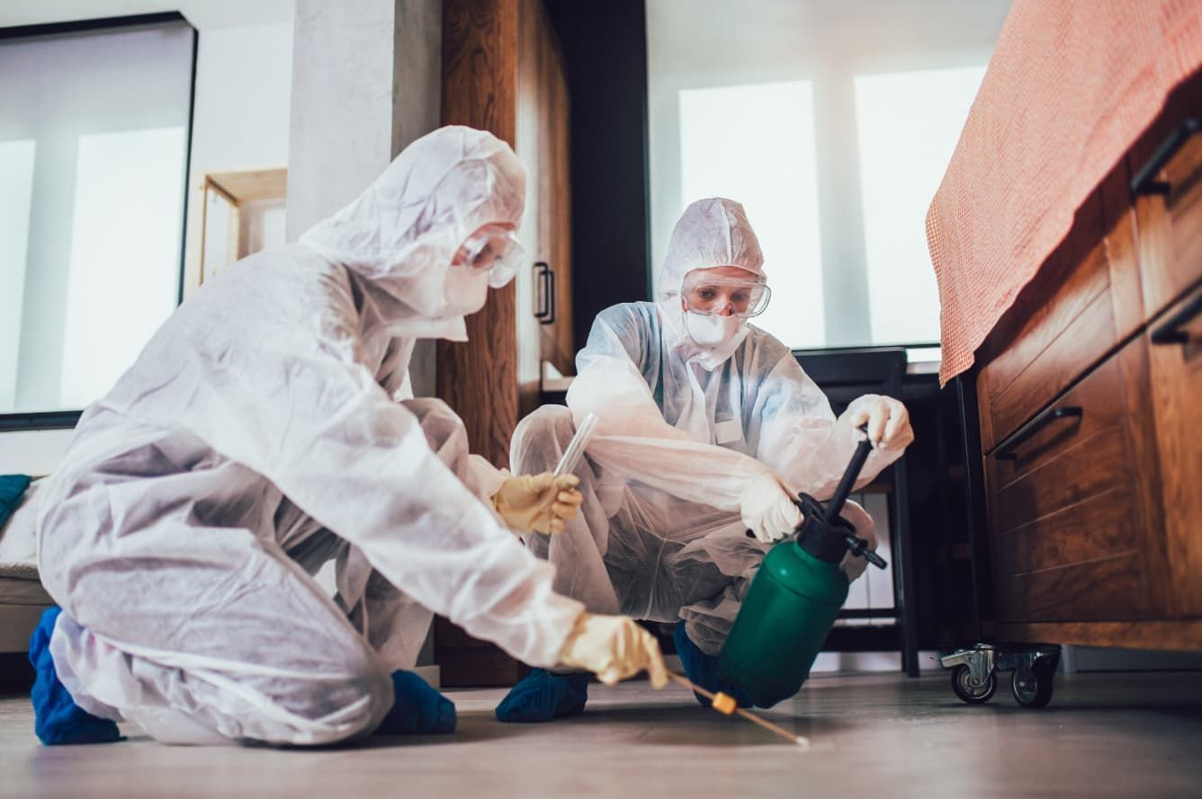 Two People in Protective Suits Spraying Insecticide Under Furniture — Premier Pest Control Wollongong In Camden, NSW