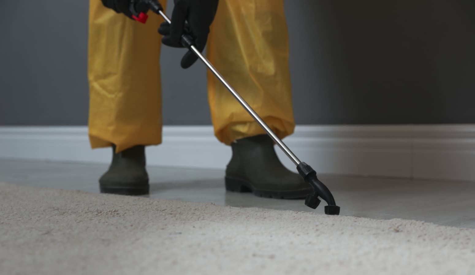 A Person In A Yellow Suit Is Spraying A Carpet With A Sprayer — Premier Pest Control Wollongong In Corrimal, NSW