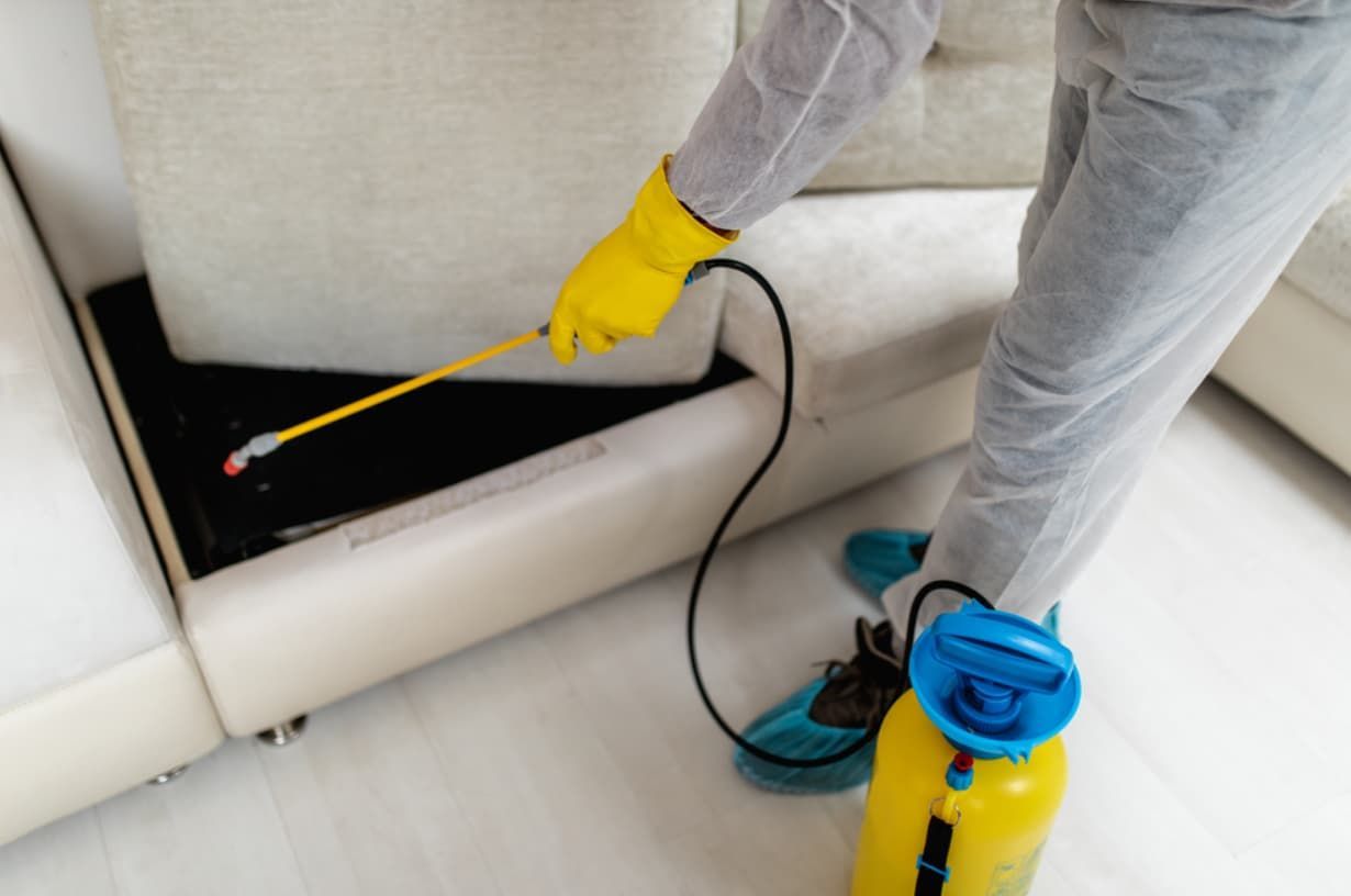 Person in Protective Suit Spraying Insecticide Near a Sofa — Premier Pest Control Wollongong In Camden, NSW