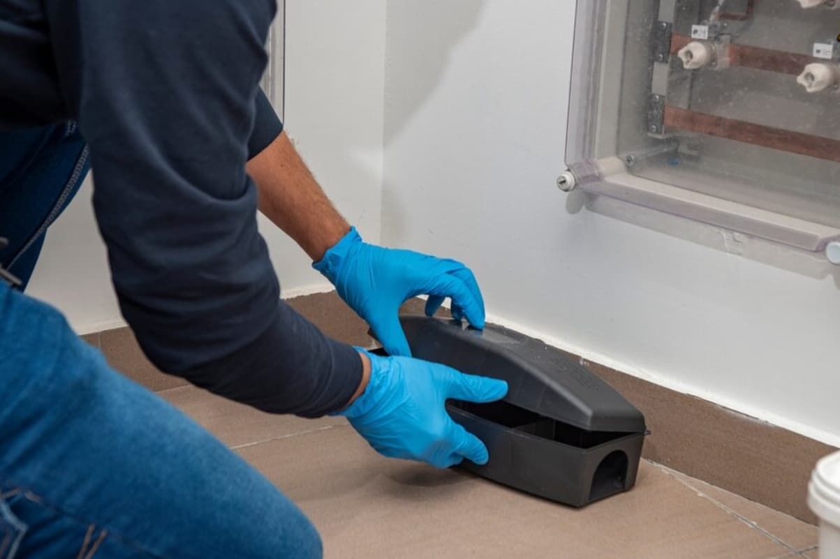 A Man Wearing Blue Gloves Is Putting A Mouse Trap In A Room — Premier Pest Control Wollongong In Wollongong, NSW