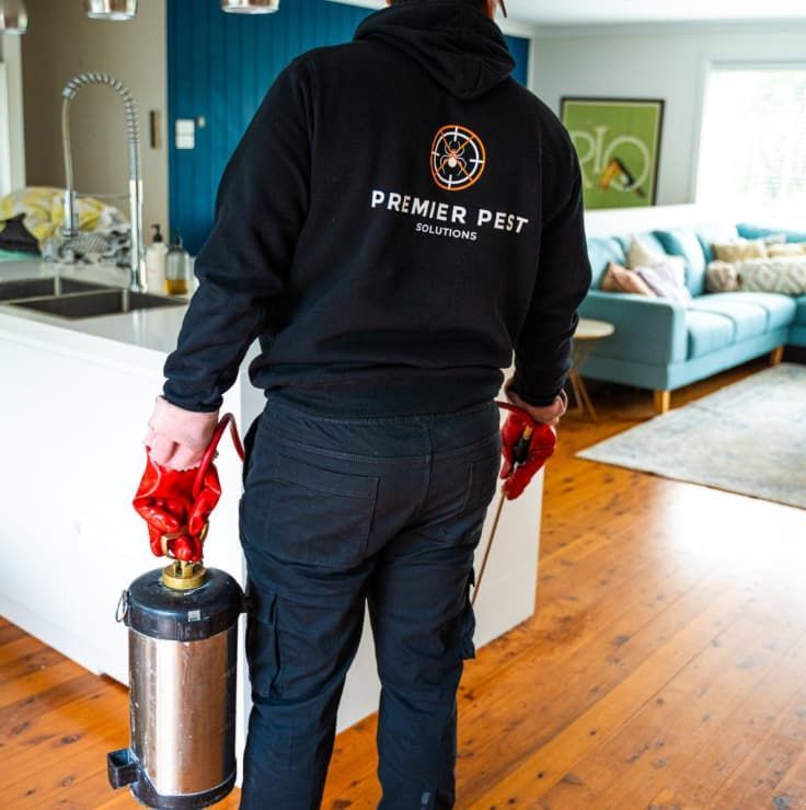A Man Wearing A Black Premier Pest Hoodie — Premier Pest Control Wollongong In Wollongong, NSW