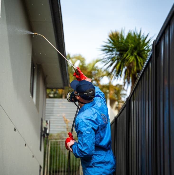 A person in protective gear sprays pesticide on a building exterior — Premier Pest Control Wollongong In Wollongong, NSW