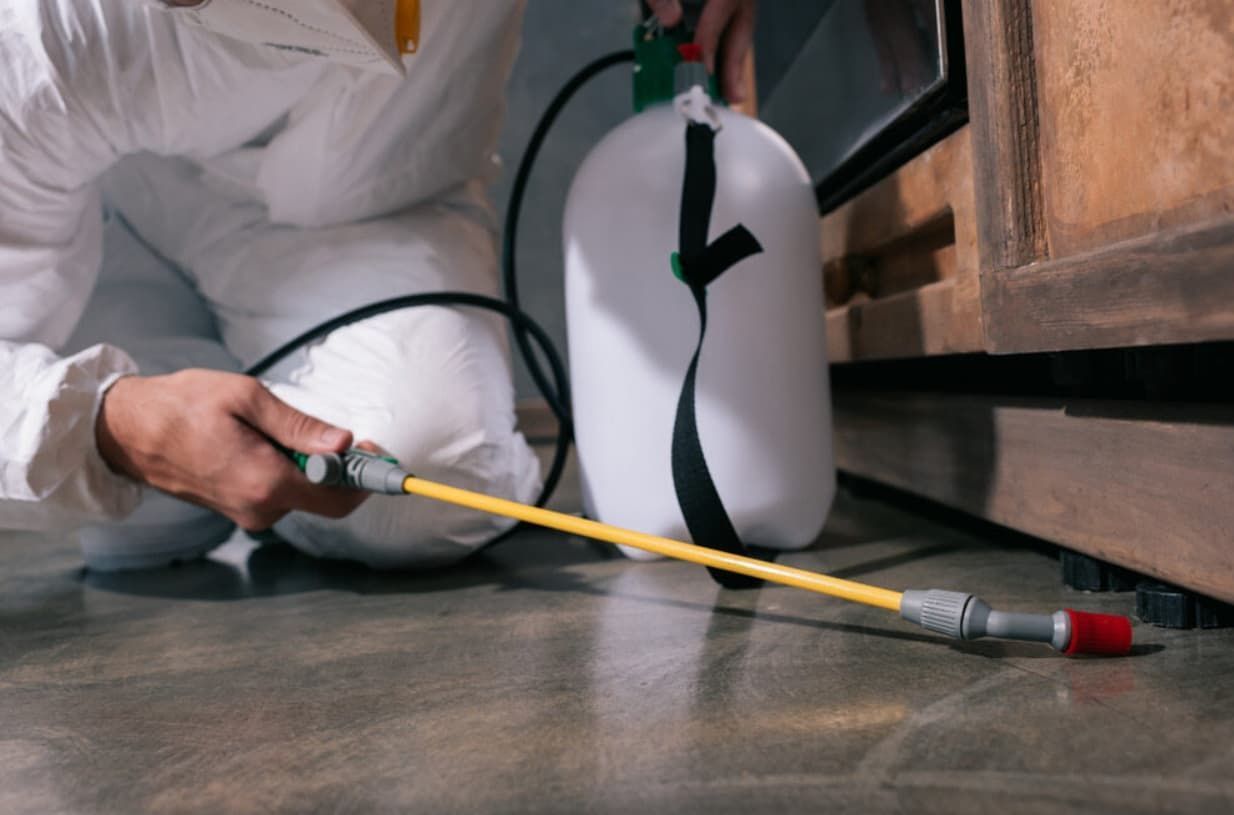 Person in Protective Suit Spraying Insecticide Near Cabinet — Premier Pest Control Wollongong In Blacktown, NSW