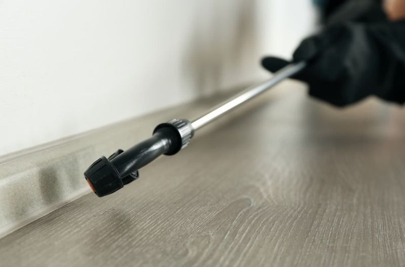 Hand in Black Glove Spraying Insecticide Along a Baseboard — Premier Pest Control Wollongong In Liverpool, NSW