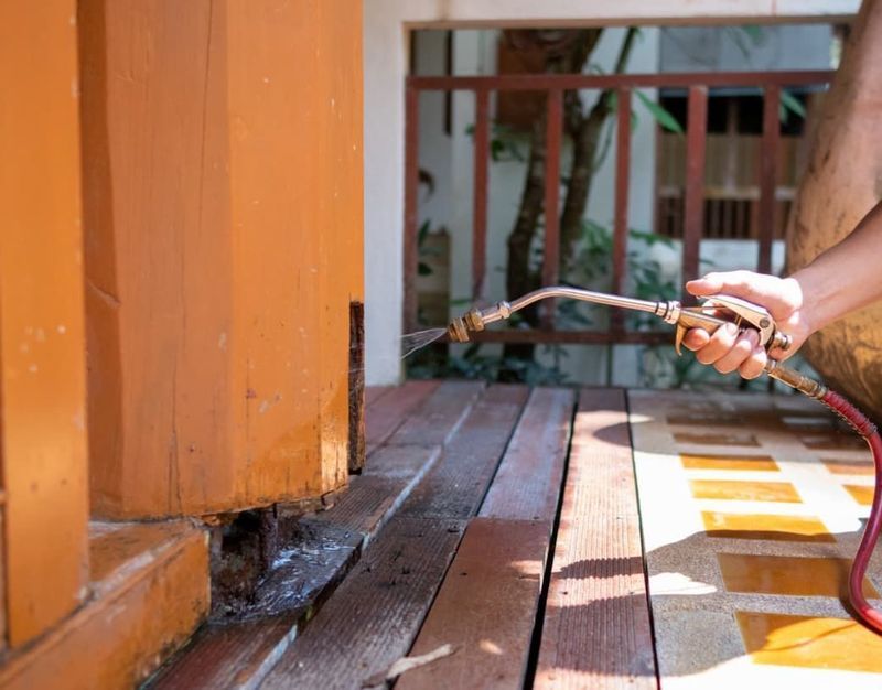 Person Spraying Wood Structure With a Hose — Premier Pest Control Wollongong In Liverpool, NSW