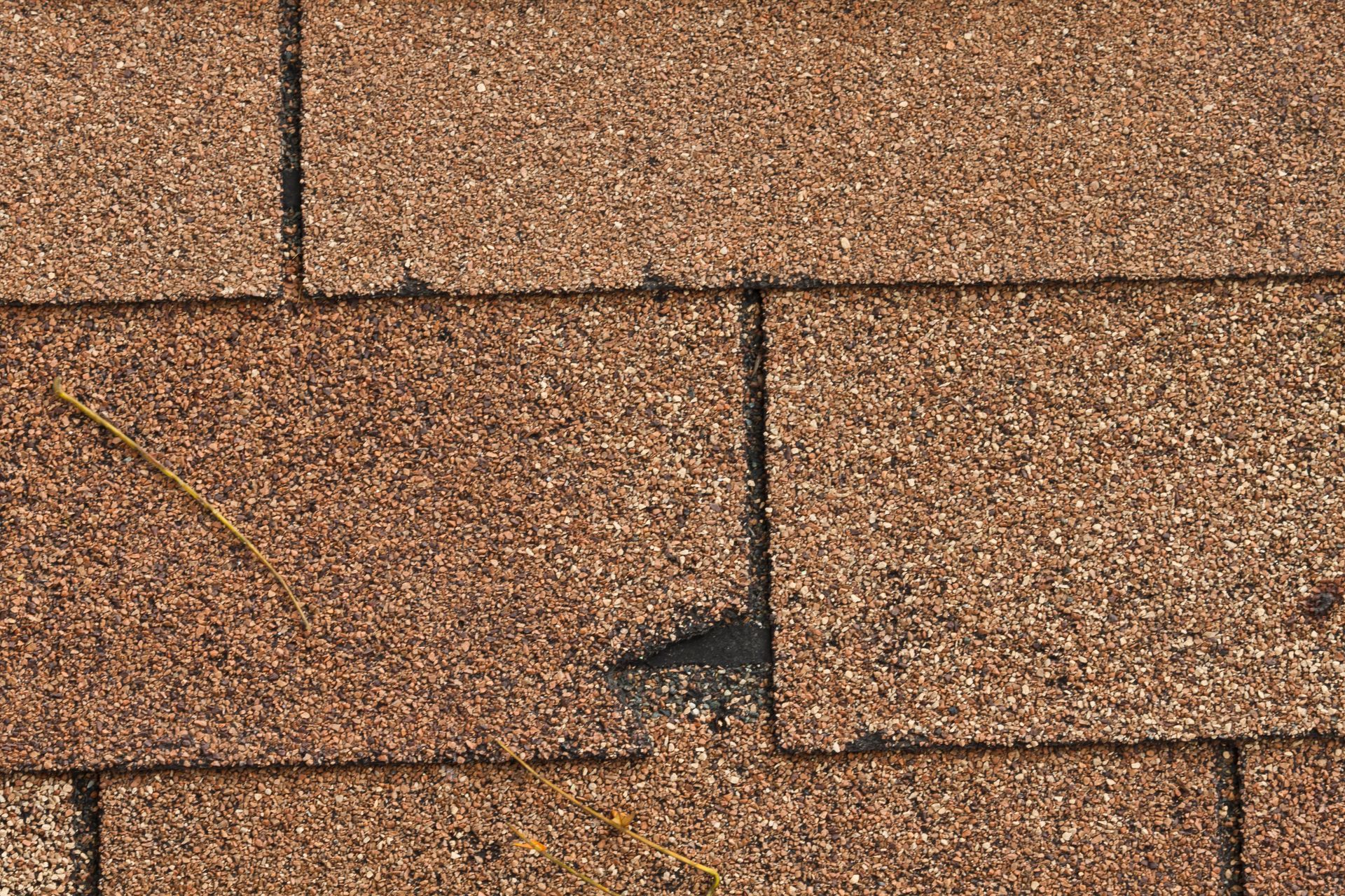 damaged shingles on a roof