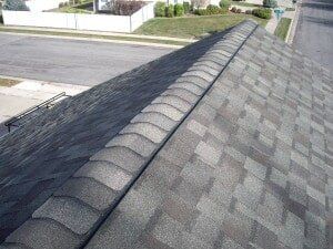 We Provide Professional Roofing Services in Utah