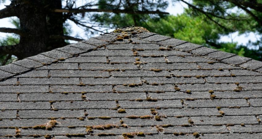 10 Roof Problems and How to Spot Them