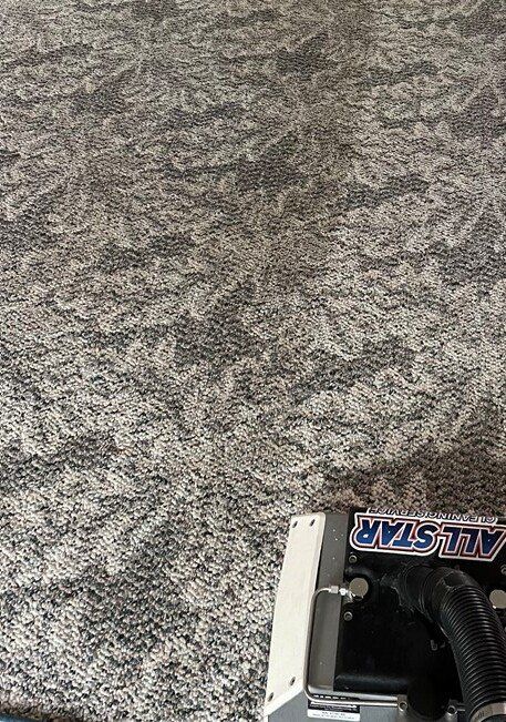 Carpet Cleaning
