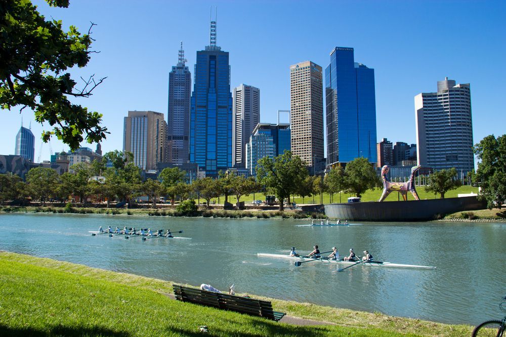 A Group Of People Are Rowing On A Lake In Front Of A City Skyline — Tradie Books Australia In Melbourne, VIC