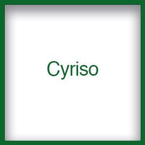 2-serve HDI Osnabrück Cyber Cyriso