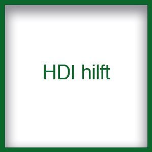 2-serve HDI Osnabrück Cyber HDI hilft