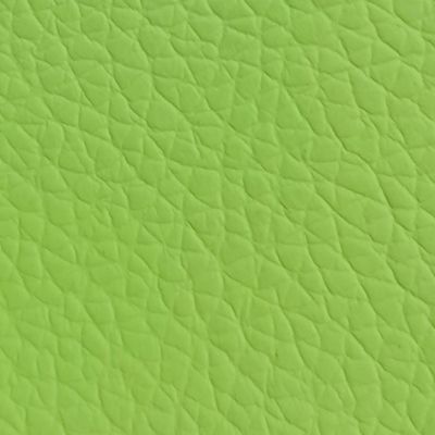 Light Green Vinyl Color