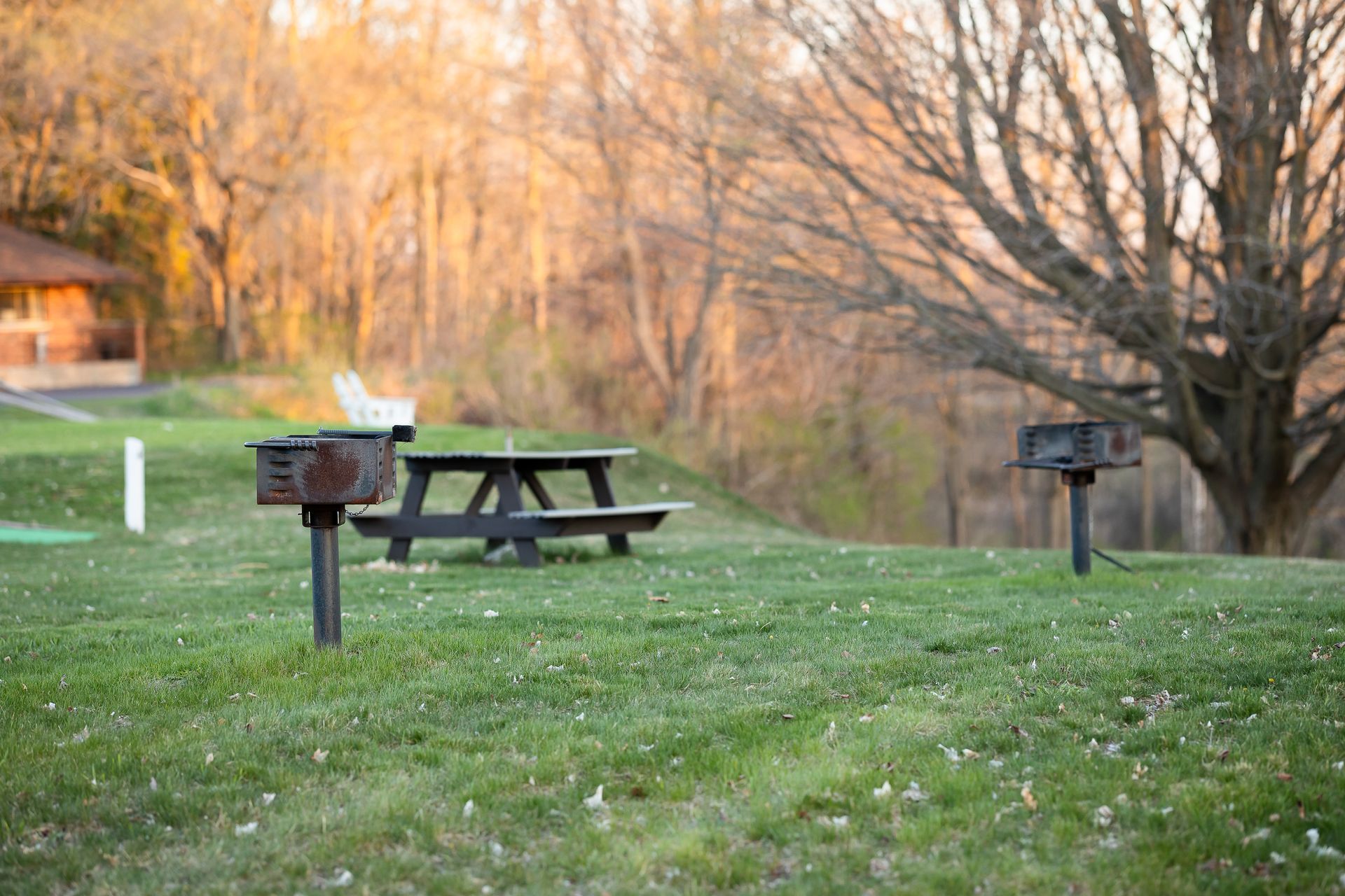 A picnic table and grills in a grassy field.