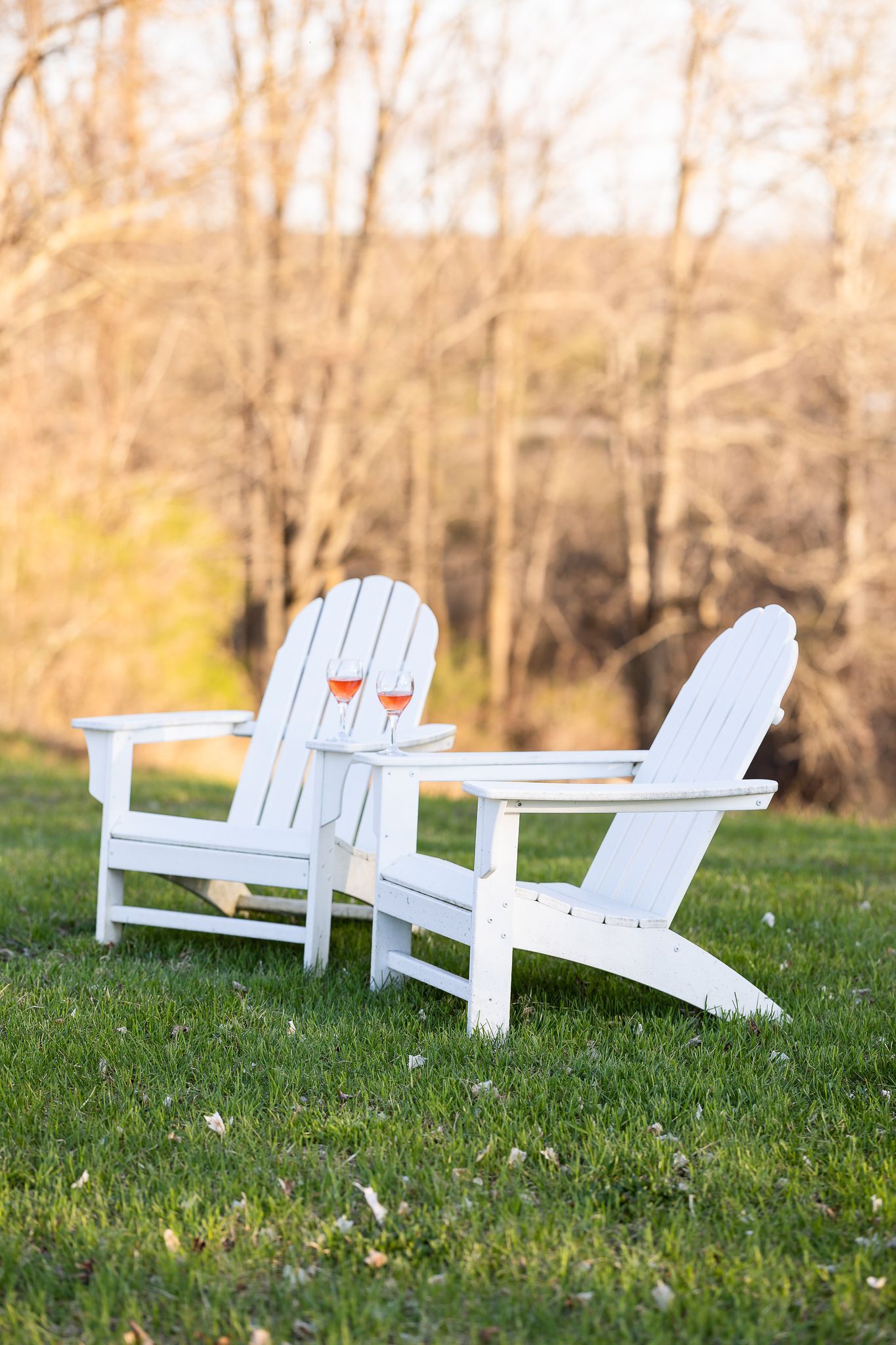 Two white adirondack chairs are sitting on top of a lush green field.