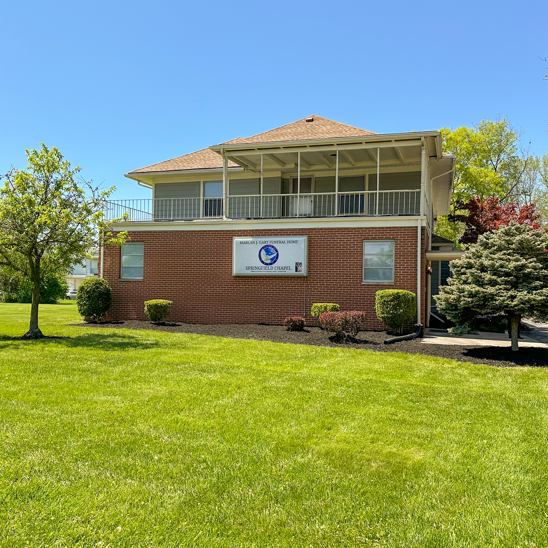 A close up of a palm tree leaf that looks like a fan