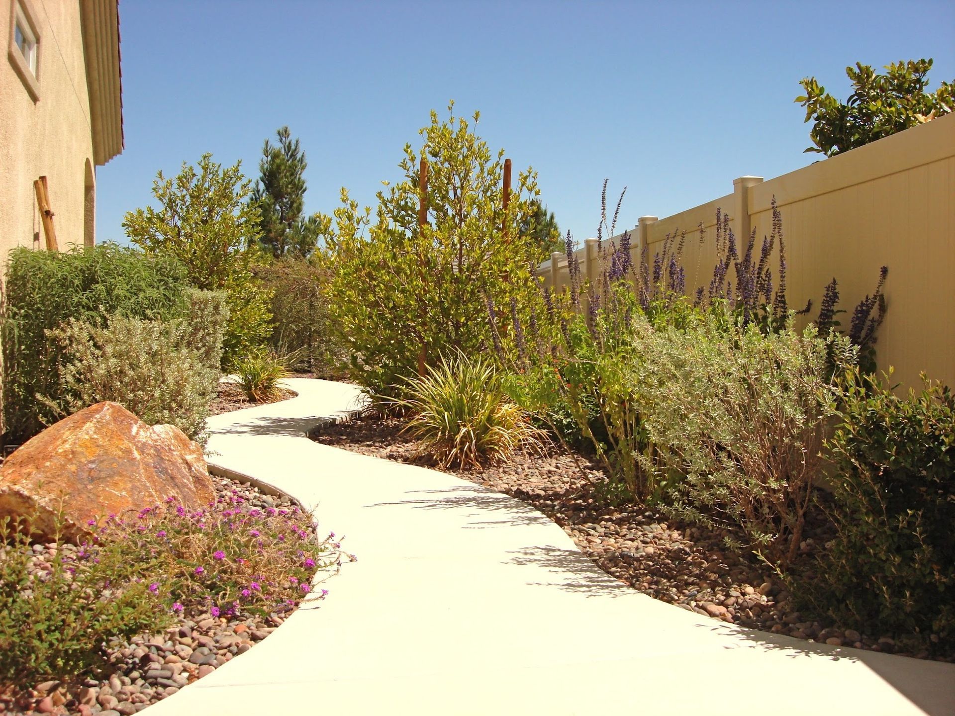 Winding concrete path through a landscaped garden with various plants and a large rock under a clear blue sky.
