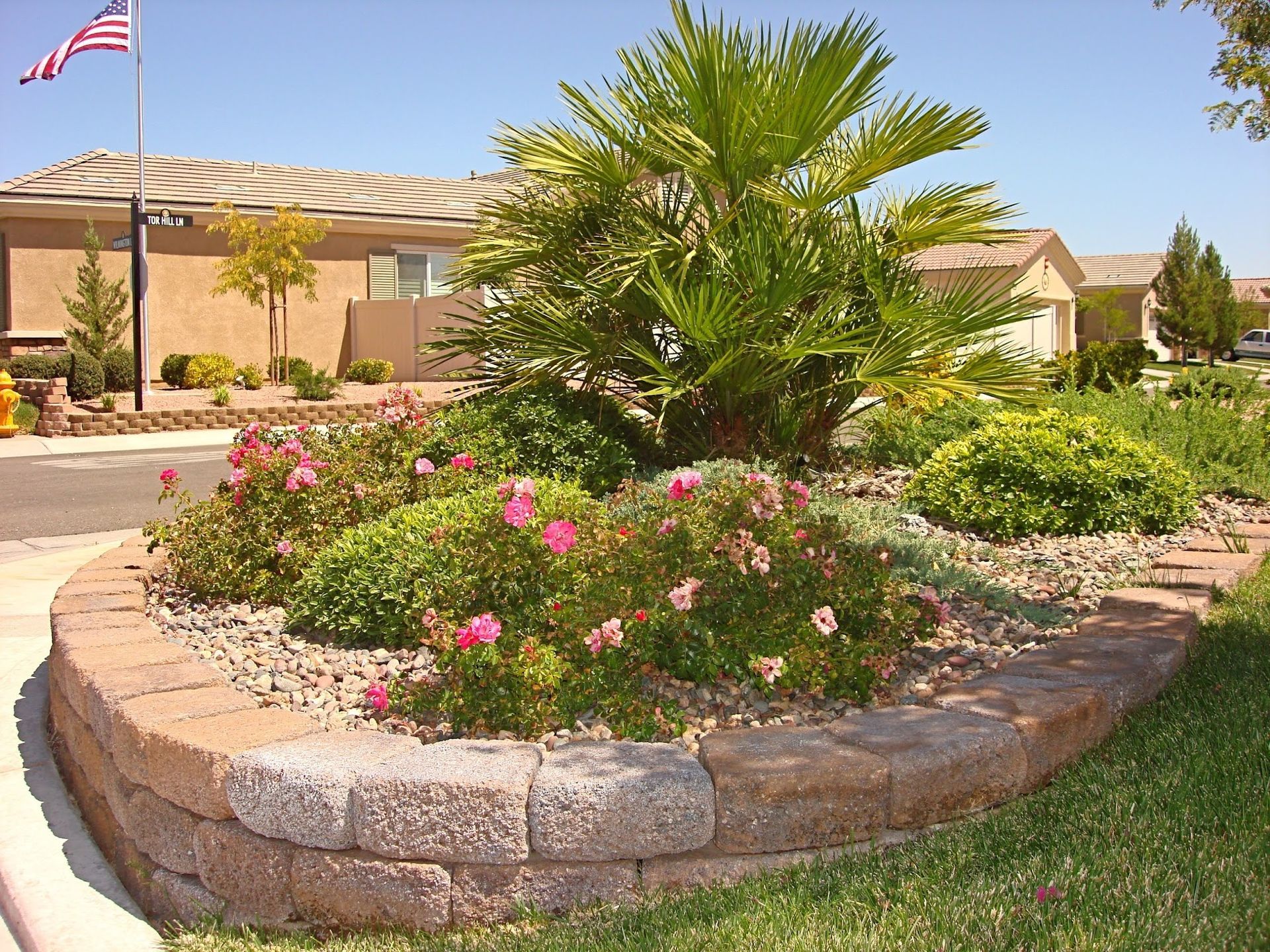 A well-landscaped flower bed with a palm tree, pink roses, and a brick retaining wall.
