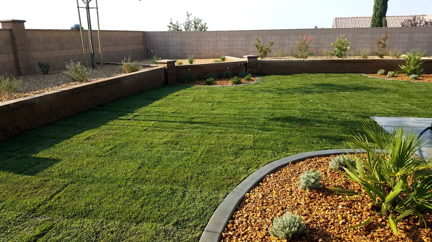 Stone path leads to tiered fountain in a backyard with green grass, small trees, and a beige fence.