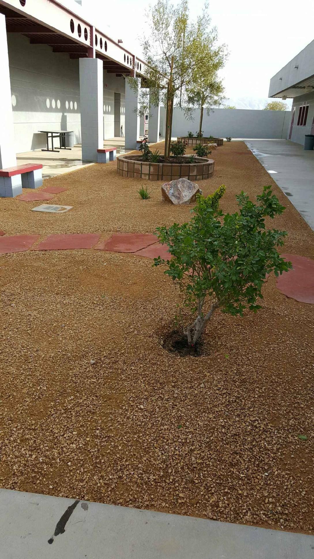 Courtyard with mulch, trees, and benches next to a building with a walkway.