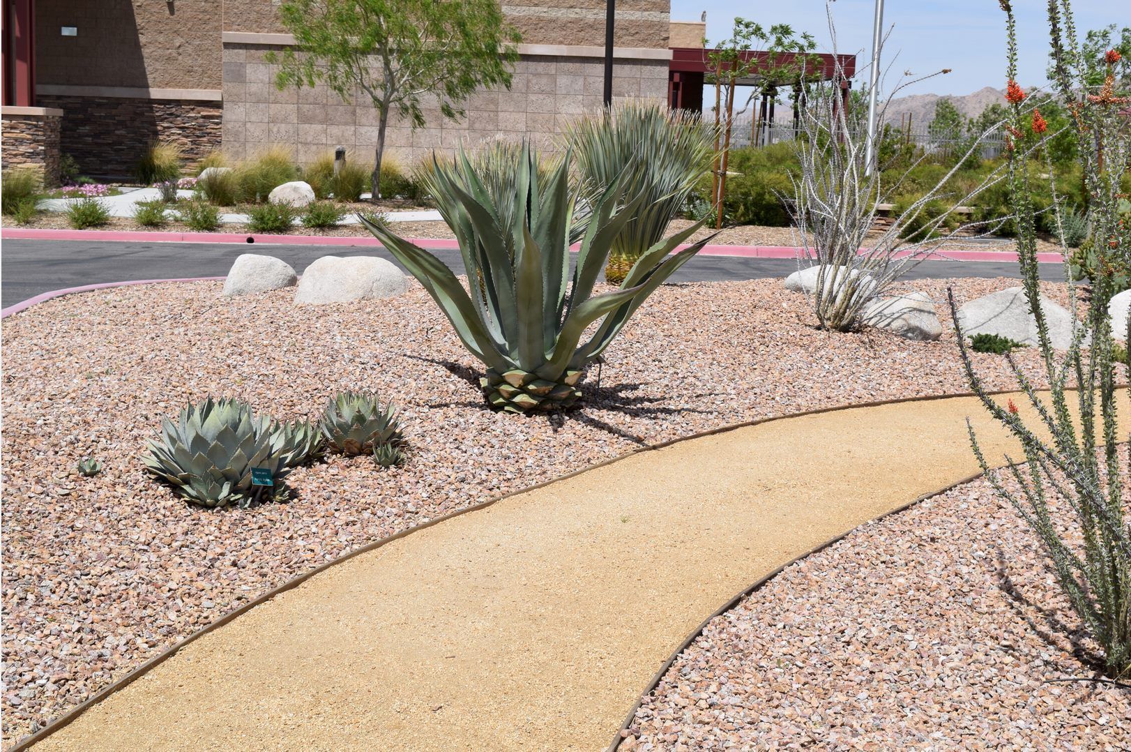 Desert landscape with gravel path, agave plants, and boulders. Sunny day.