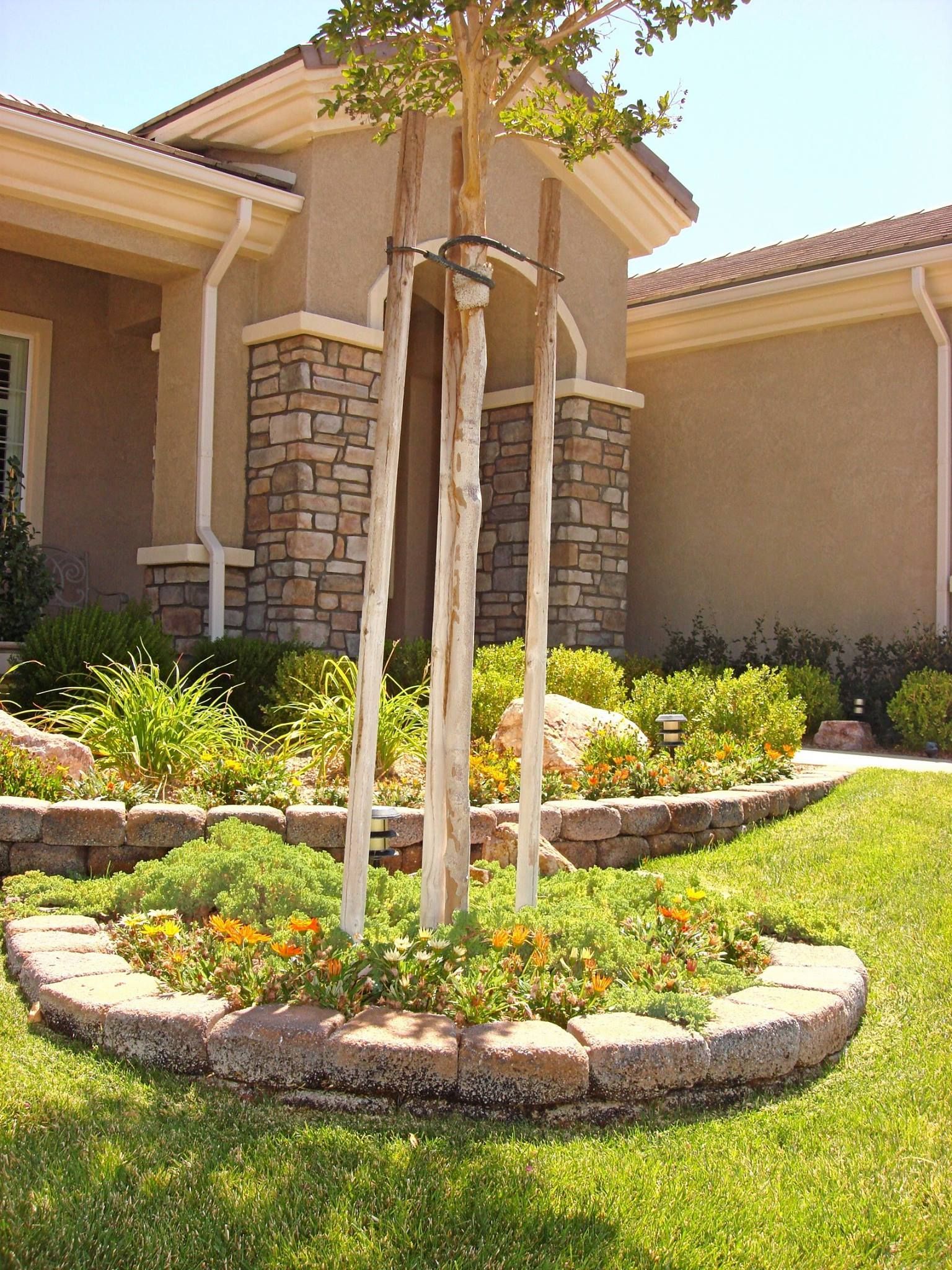 Tree in a landscaped yard with a curved retaining wall and flowering plants in front of a house.