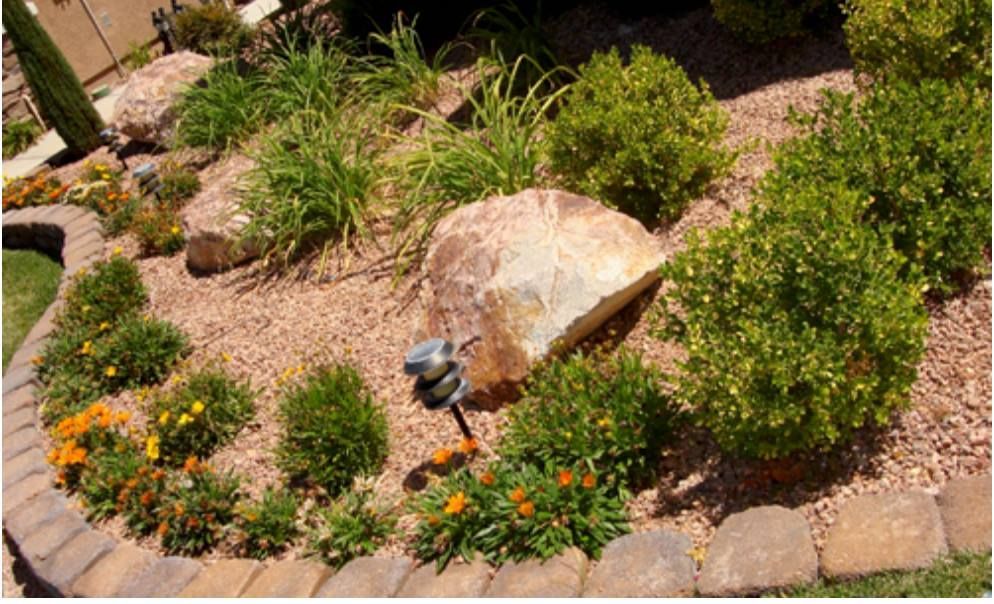 Landscaped garden bed with large rock, green shrubs, and orange flowers, bordered by pavers.