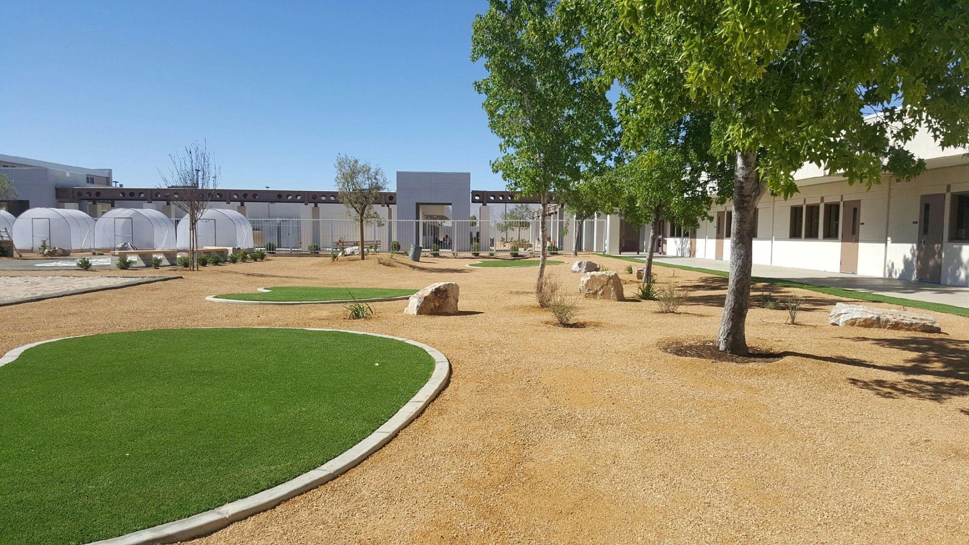 Exterior view of a garden with trees, gravel, and a patch of green grass; a building is in the background.