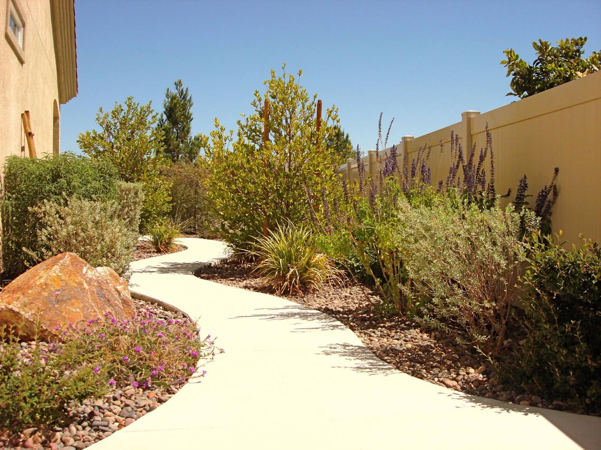 Curving concrete path through a landscaped garden with various plants and a rock.