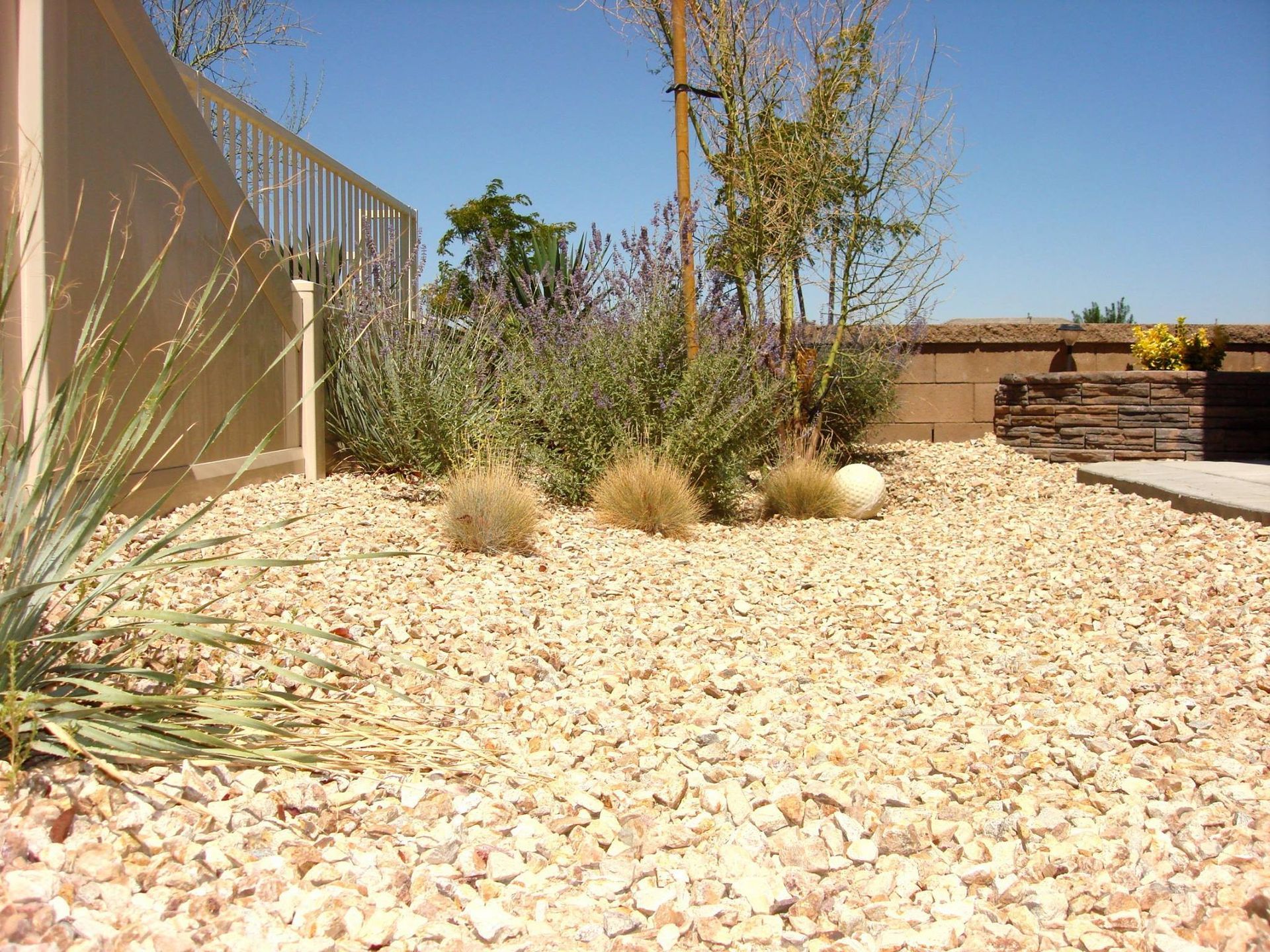 Gravel bed landscaping with drought-tolerant plants, including lavender and grasses, against a wall and fence.