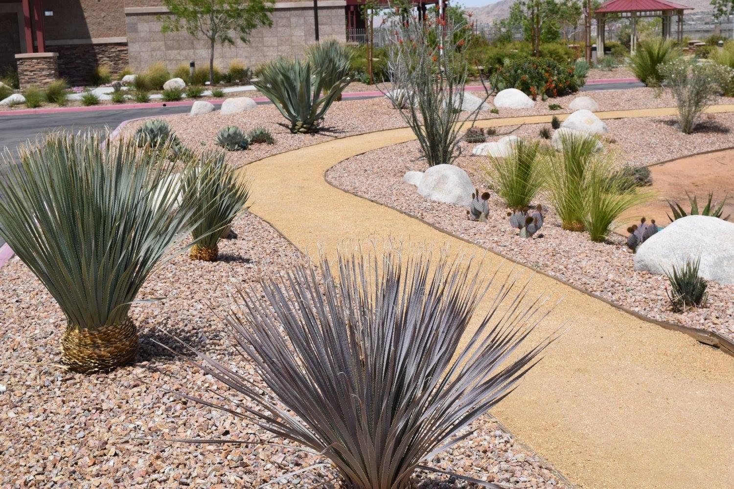 Sandy path winds through a desert landscape of spiky plants, rocks, and gravel.