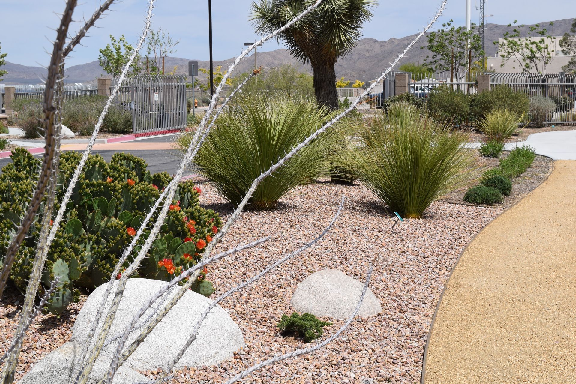 Concrete walkway through a landscaped yard with a stone bench and potted plants.