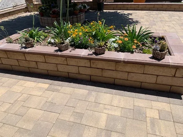 Raised brick flower bed with plants, surrounded by stone pavers.