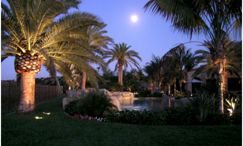 Night scene with palm trees illuminated around a pool, moon in the sky.