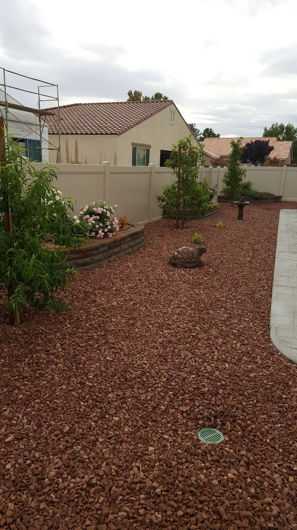Backyard landscaping with red rock ground cover, small trees, and a beige wall.