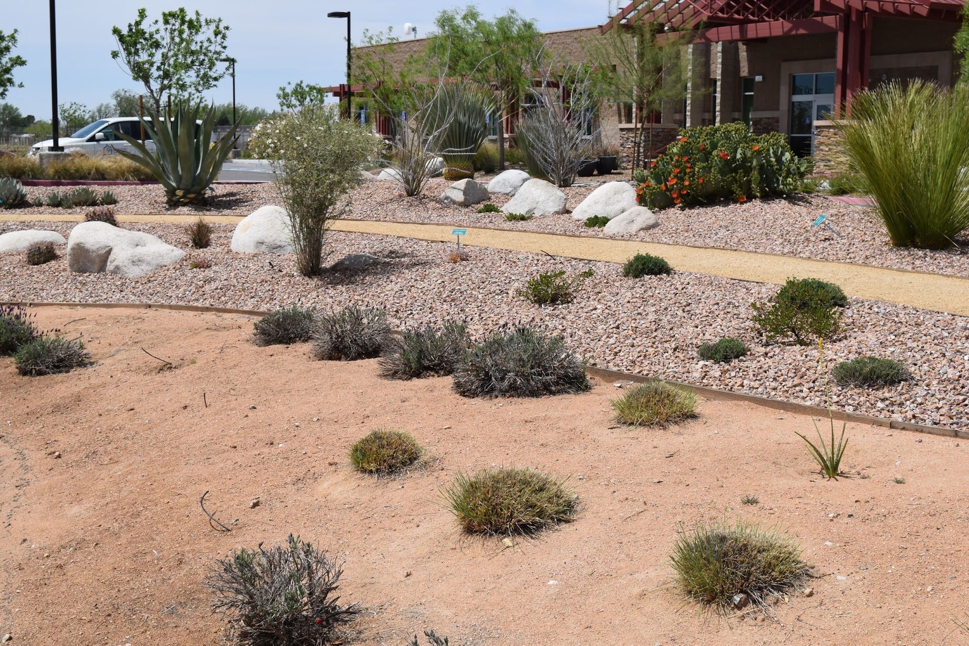 Desert landscaping with gravel, small plants, rocks, and a tan path.