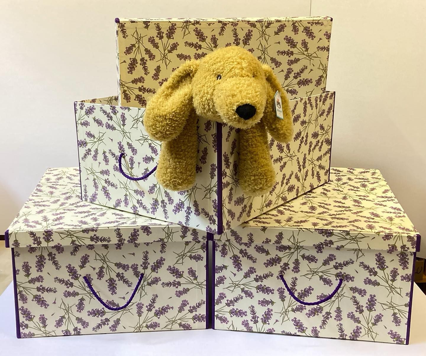 Scatole personalizzabili in ogni formato