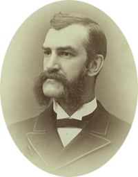 A man with a beard and mustache is wearing a suit and bow tie