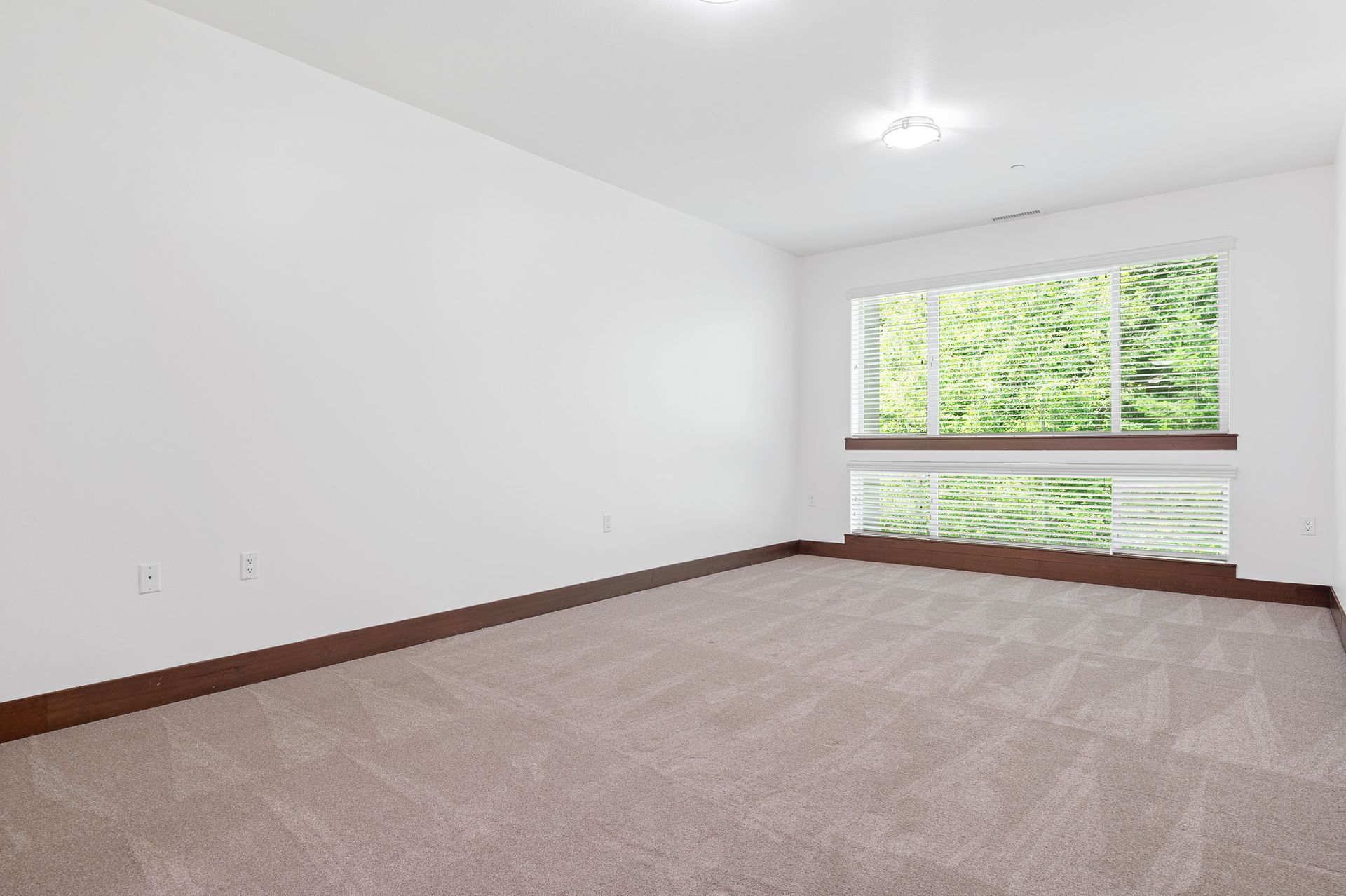 Photo of a very large room, showing two separate, stacked windows