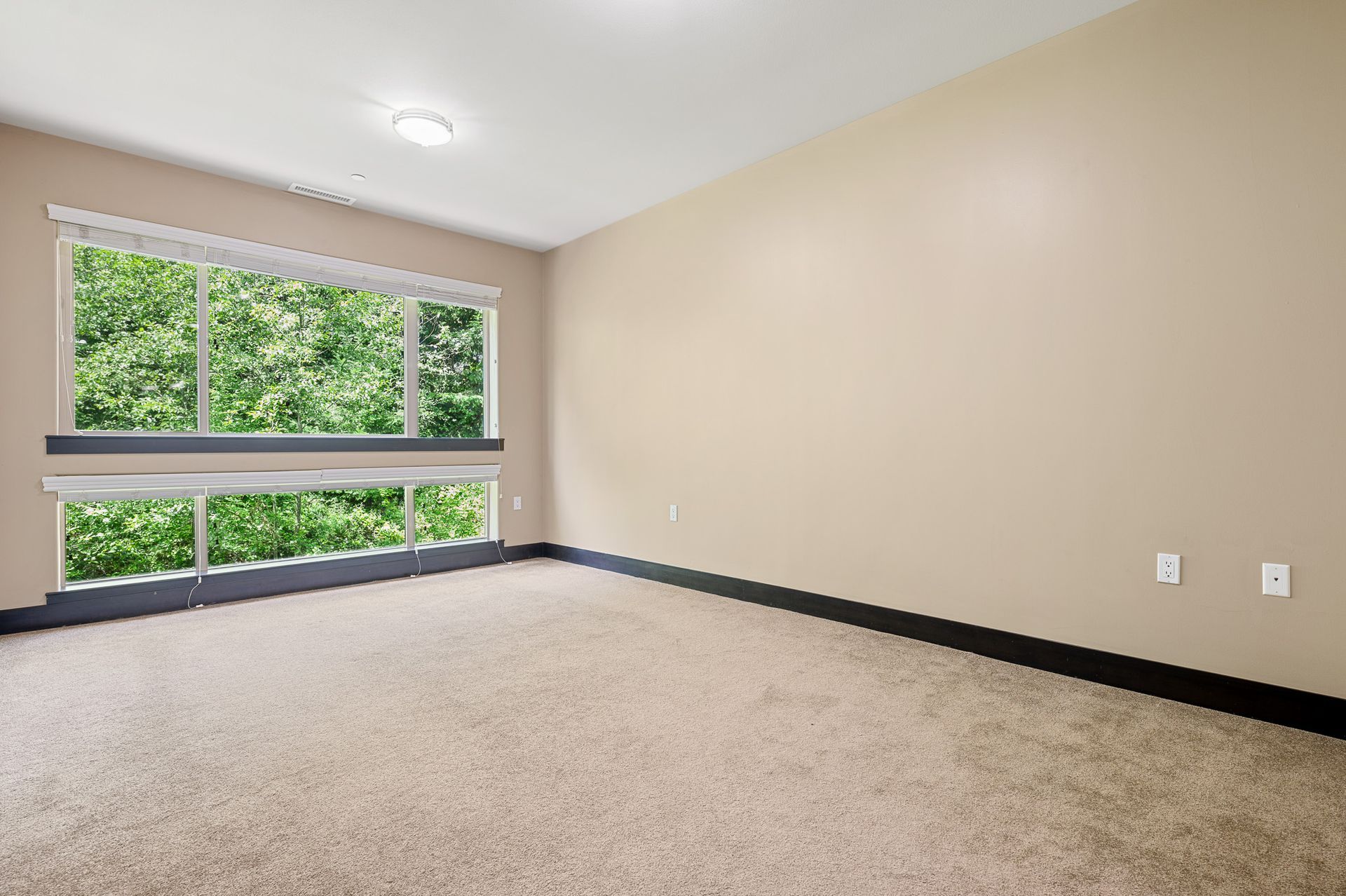 Photo of a large carpeted room