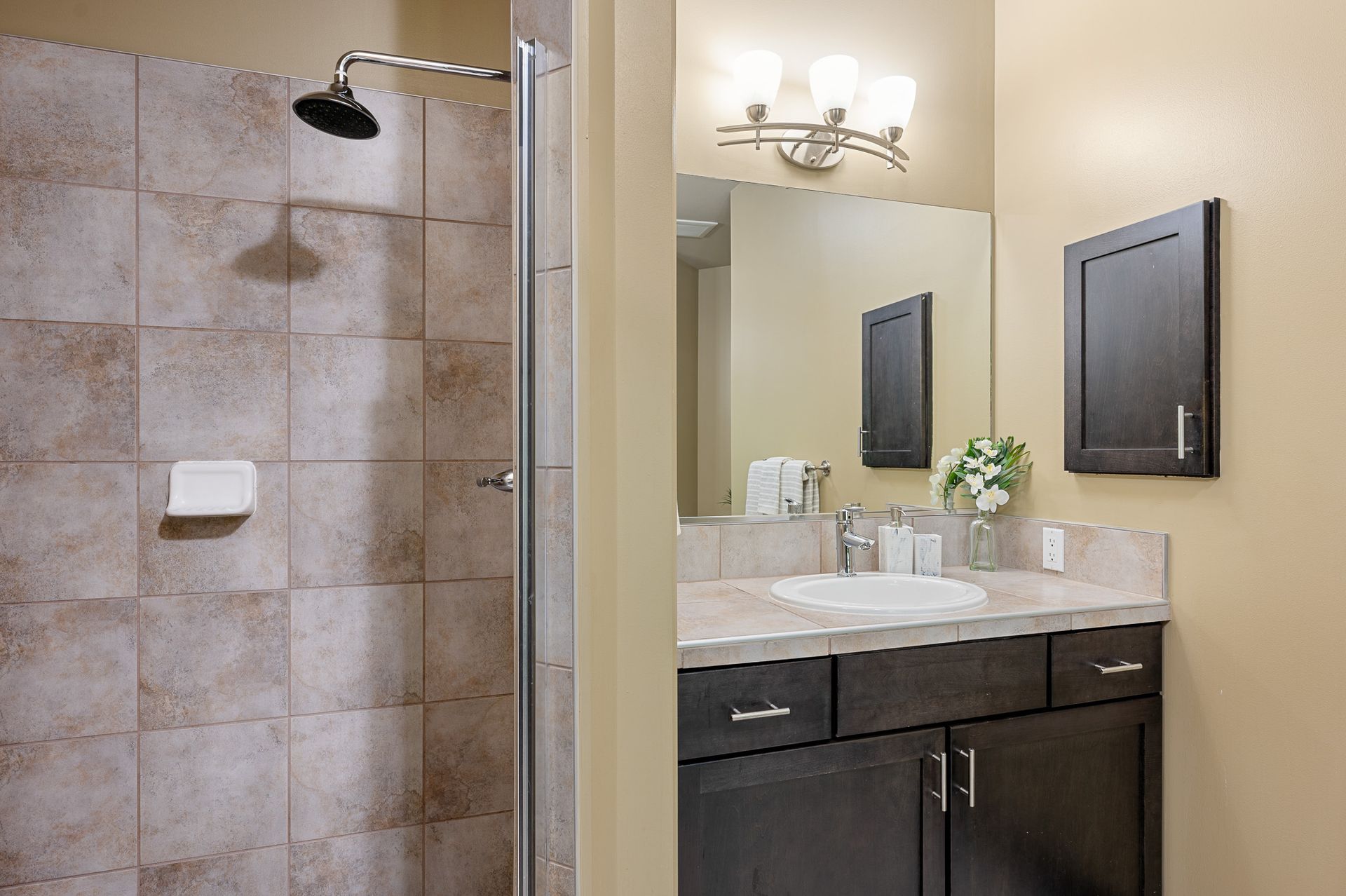 Photo of the shower and bathroom sink area