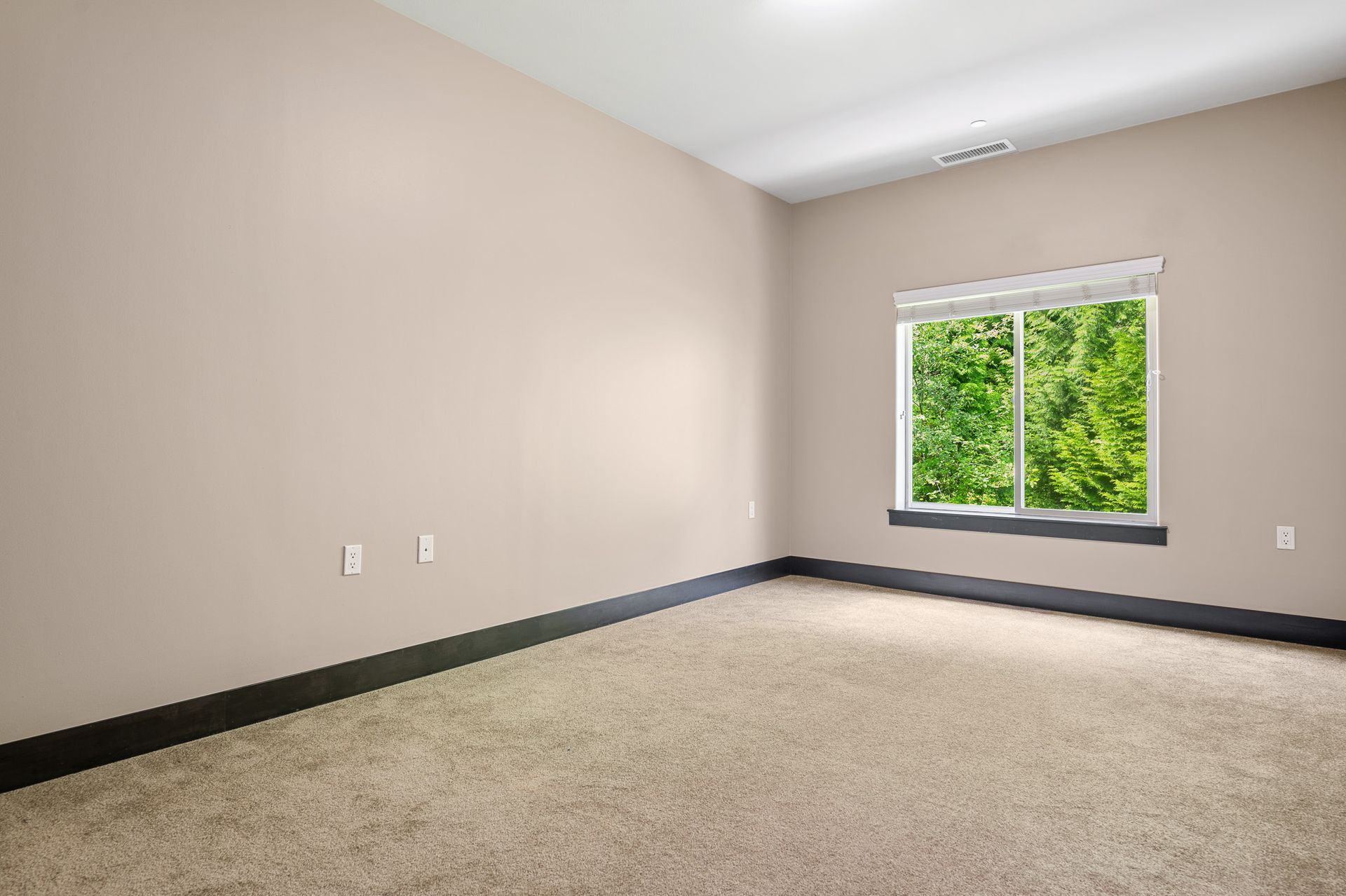 Photo of a carpeted room