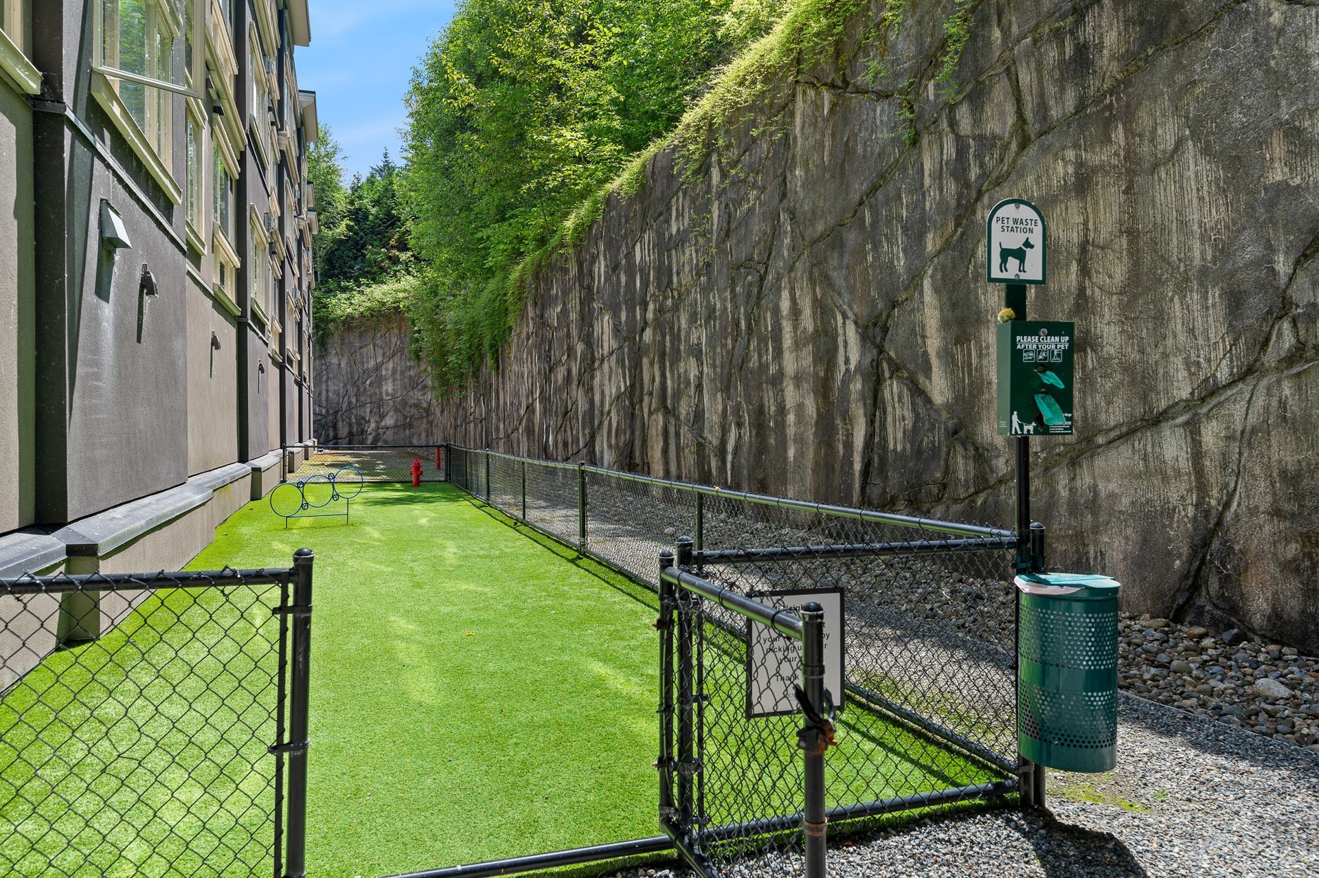 Photo of the dog run