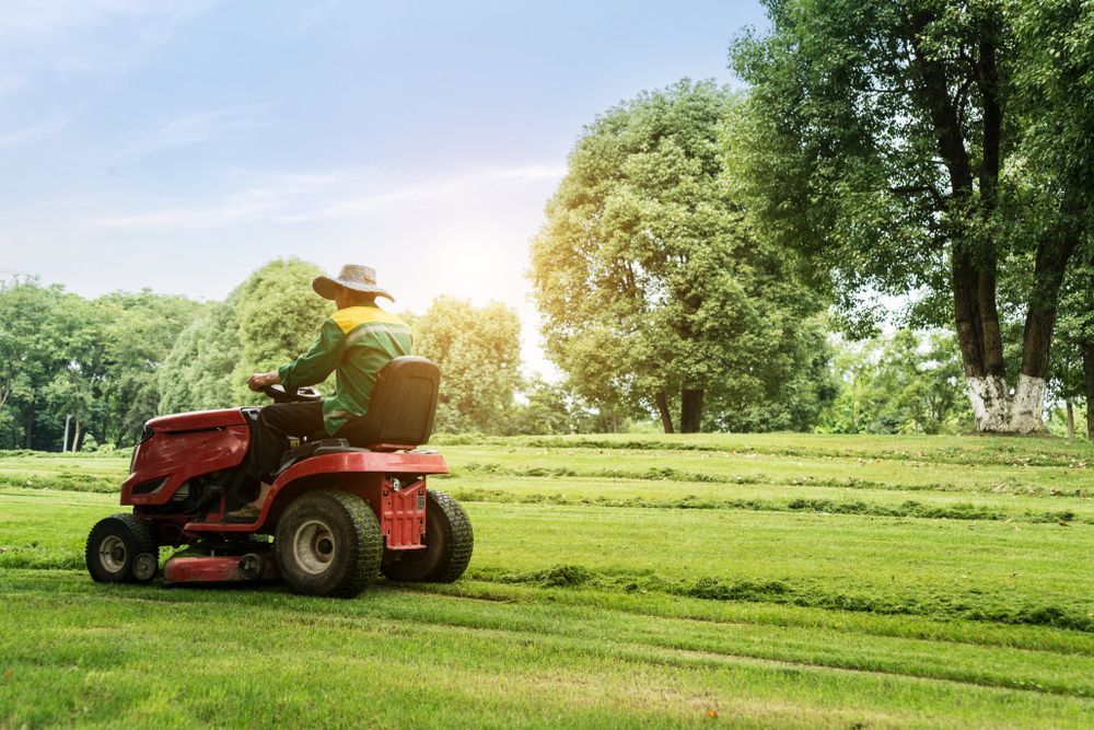 A Man is Riding a Lawn Mower Through a Grassy Field — J.A. Slashing in Cairns, QLD